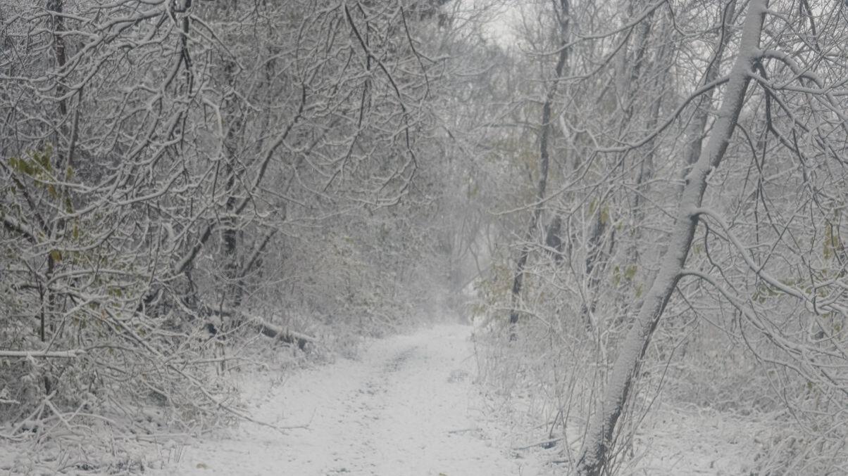 Winter Weather hits Wisconsin