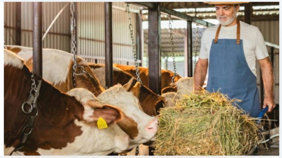 Wisconsin Authors Detail a Crisis of Family Farms Under Pressure